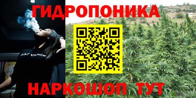 ПСИЛОЦИБИНОВЫЕ ГРИБЫ Боровичи