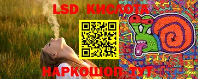 ПСИЛОЦИБИНОВЫЕ ГРИБЫ Боровичи