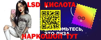 твердый Бердск