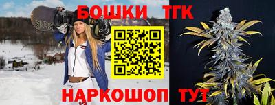 твердый Бердск