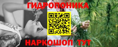 твердый Бердск