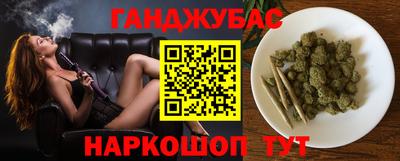 твердый Бердск