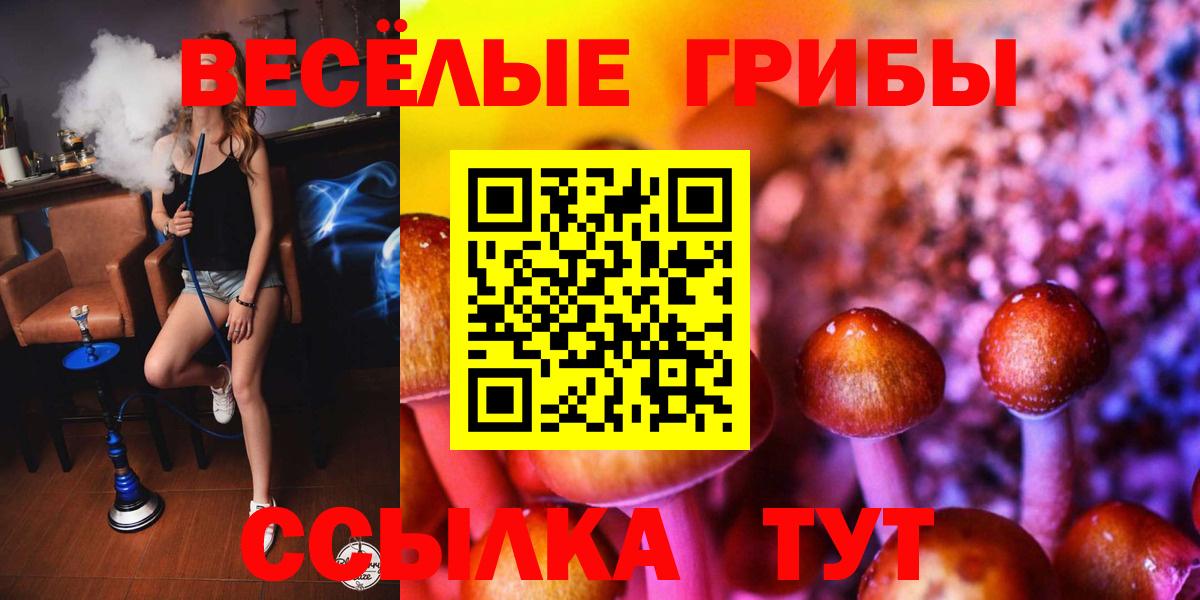 Псилоцибиновые грибы Magic Shrooms Железноводск